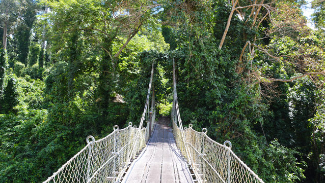 pont courriercadres